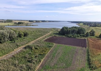 działka na sprzedaż - Buk (gw), Kalwy